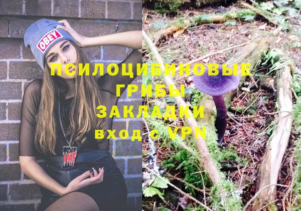тгк Белокуриха