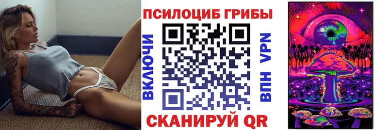 Псилоцибиновые грибы GOLDEN TEACHER Тихорецк